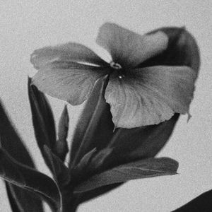 Meet your Posher, Sung